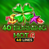 40 Burning Hot 6 Reels